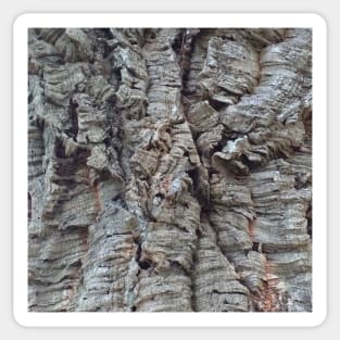 Cork Oak Tree Bark Texture Sticker